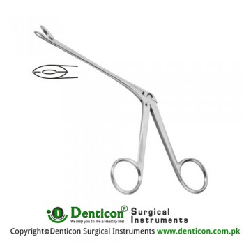 Weil-Blakesley Nasal Cutting Forcep Straight - Fig. 2 Stainless Steel, 12 cm - 4 3/4" Bite Size 3.5 mm